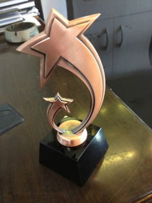 跑步比赛奖杯与奥斯卡经典 设计、材质与价格全解析